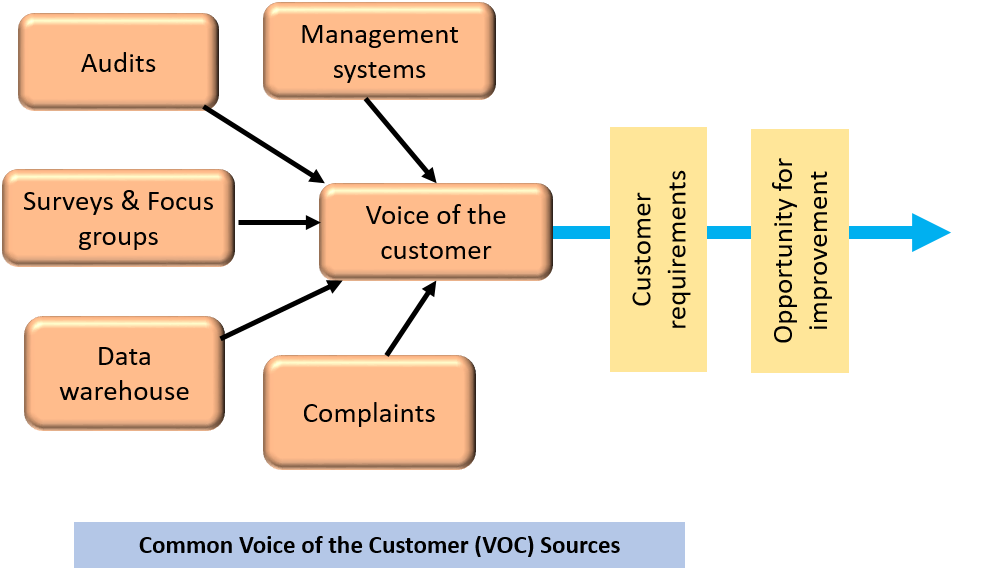 voice of the customer sources
